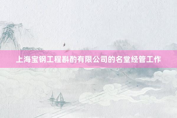 上海宝钢工程斟酌有限公司的名堂经管工作