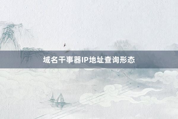 域名干事器IP地址查询形态