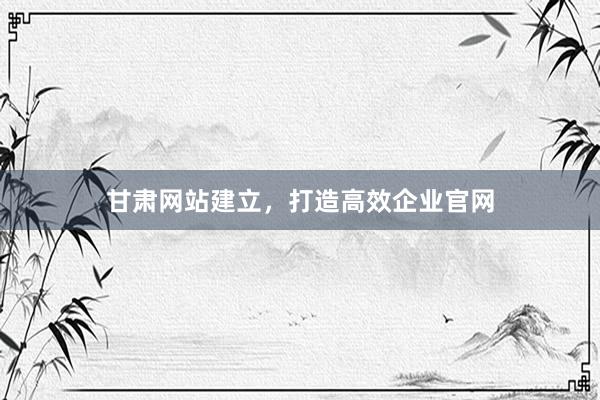 甘肃网站建立，打造高效企业官网