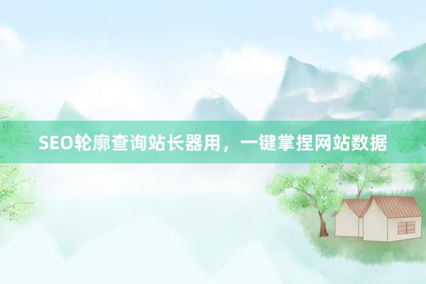 SEO轮廓查询站长器用，一键掌捏网站数据