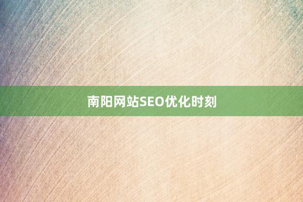 南阳网站SEO优化时刻